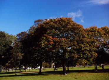 2500px_wide_Goodstone-Edinburgh-Oct2024-205