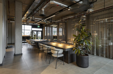 dockside_lounge_workspace